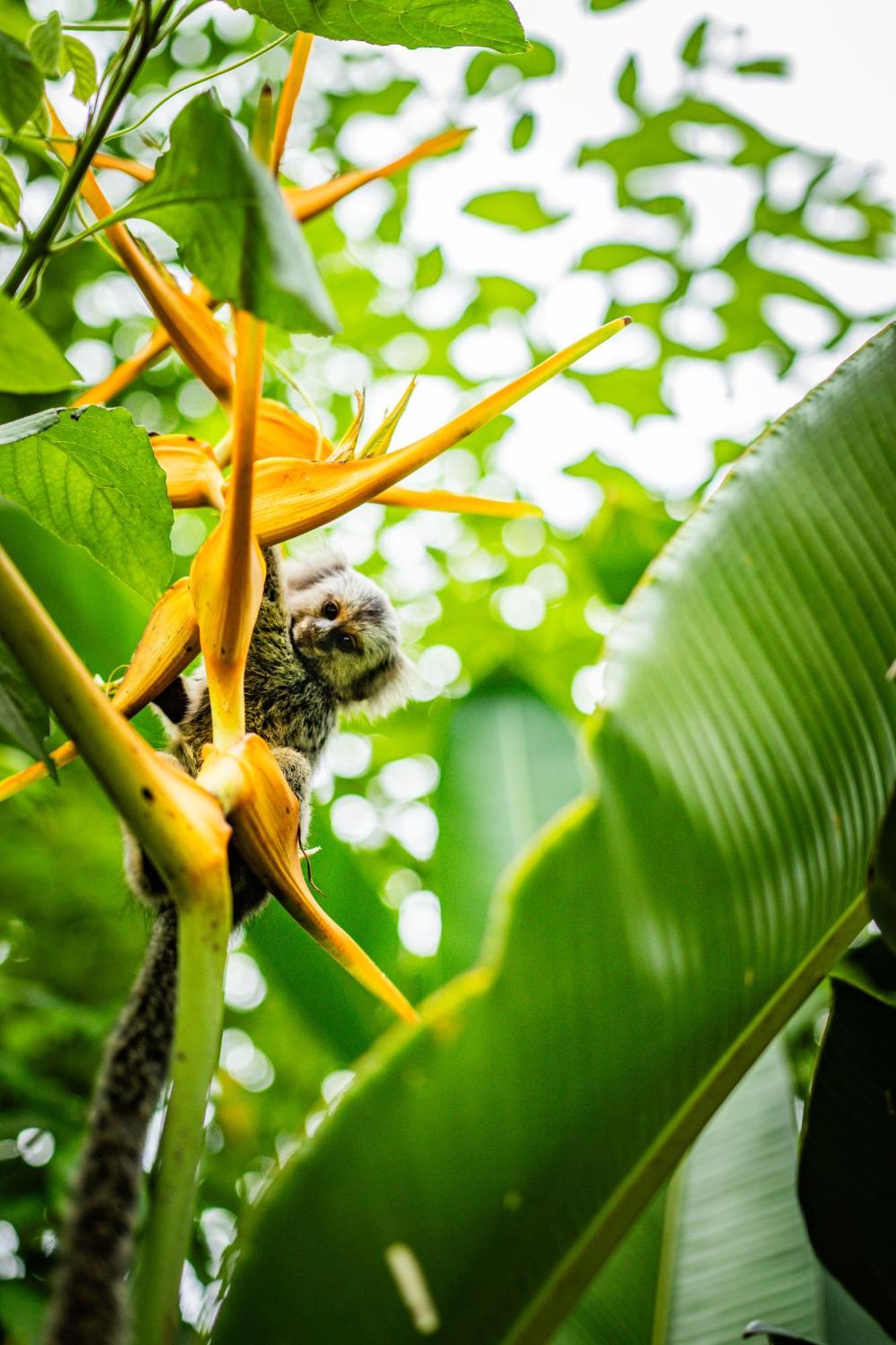 Canto Do Ile Dive & Lodge Paraty Bagian luar foto